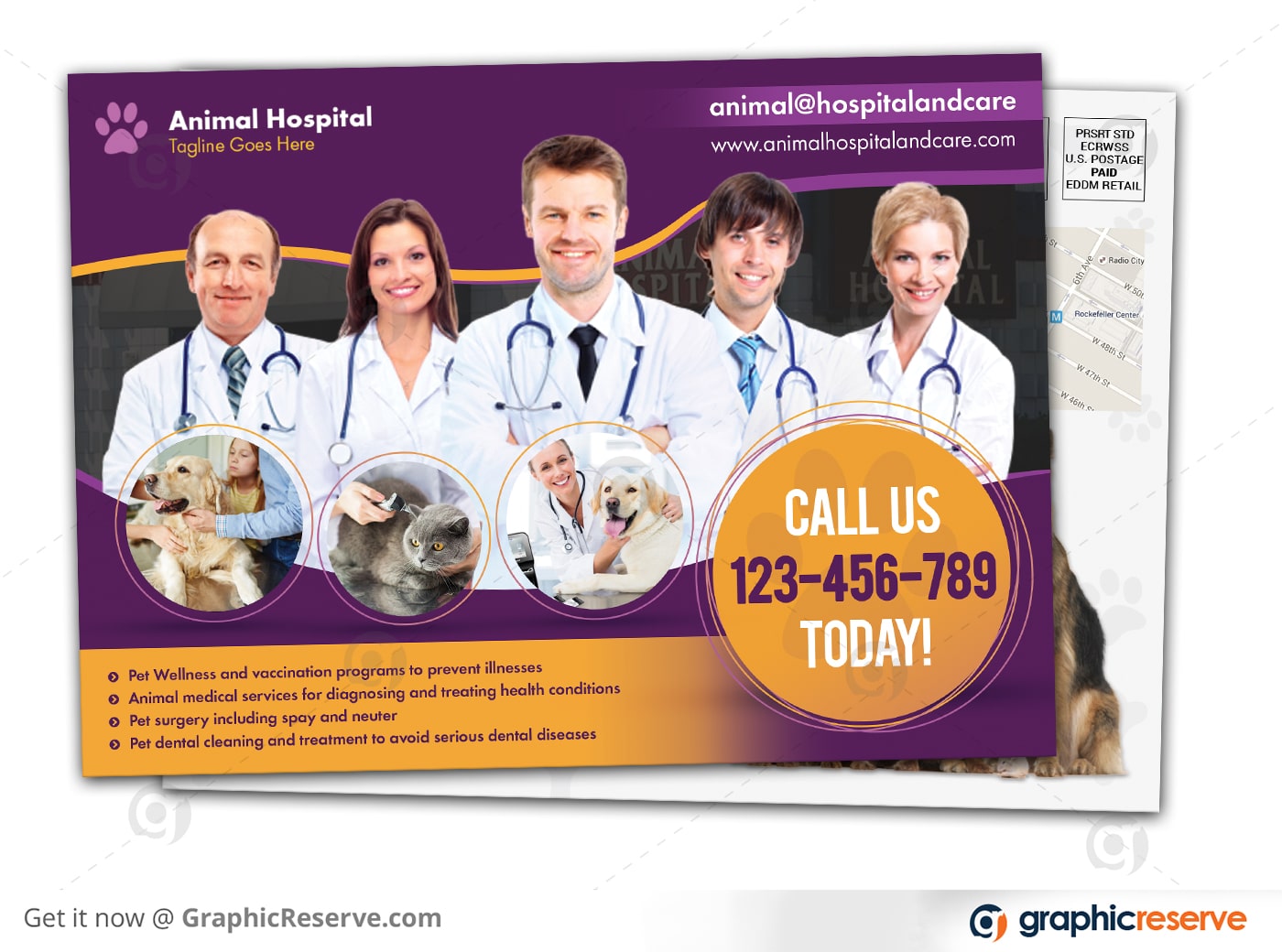 Animal healthcare Postcard sample 